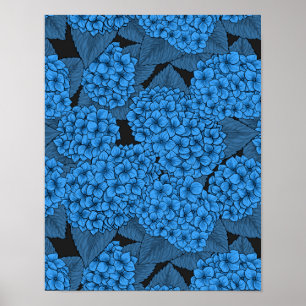 Blue hydrangea poster