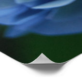 Blue Hydrangea Poster (Corner)