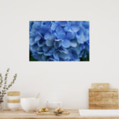 Blue Hydrangea Poster (Kitchen)