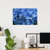 Blue Hydrangea Poster (Home Office)