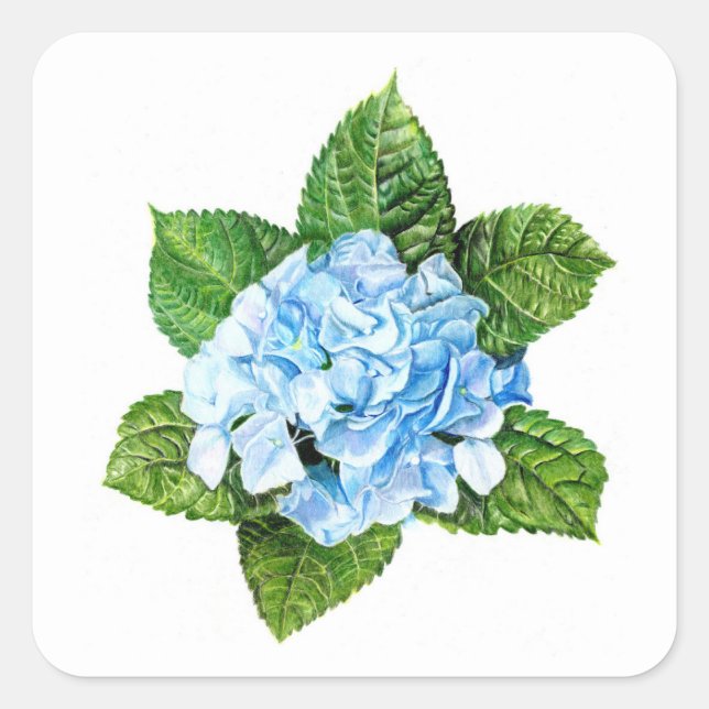 Blue Hydrangea Square Sticker (Front)