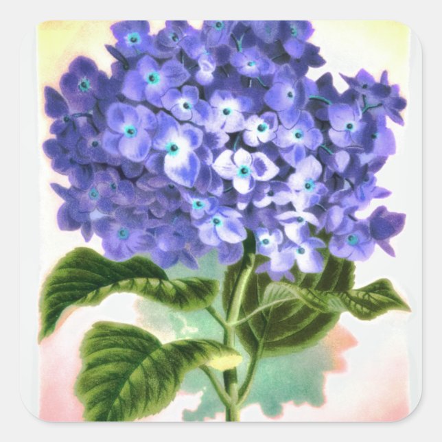 Blue Hydrangea Sticker (Front)
