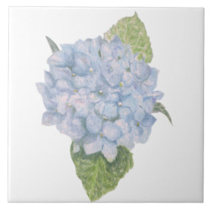 Blue Hydrangea Tile