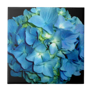 Blue Hydrangea Tile