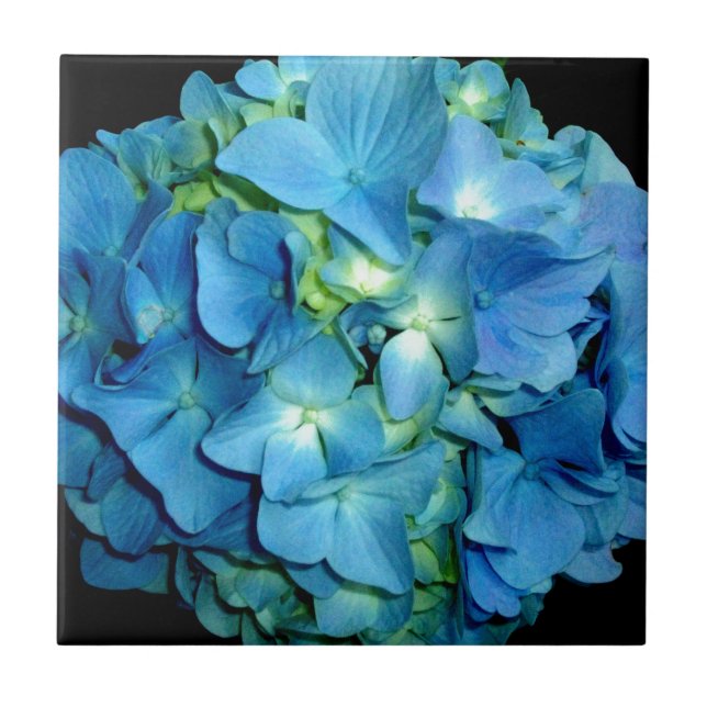 Blue Hydrangea Tile (Front)