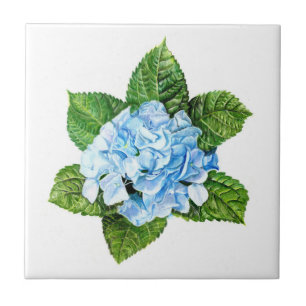 Blue Hydrangea Tile