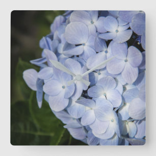 Blue Hydrangea Wall Clock