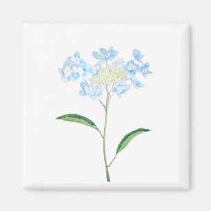 blue hydrangea watercolor magnet