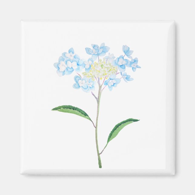 blue hydrangea watercolor magnet (Front)