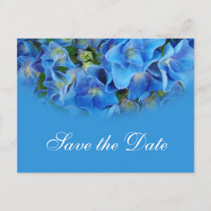 Blue hydrangea wedding save the date postcards. announcement postcard