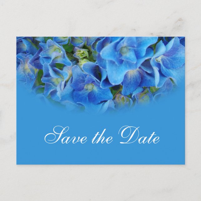 Blue hydrangea  wedding save the date postcards. announcement postcard (Front)