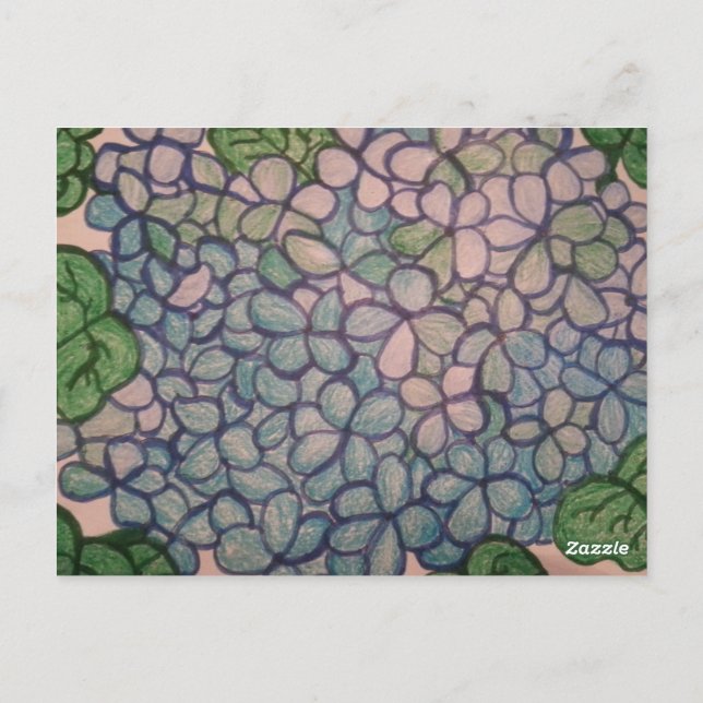 Blue Hydrangeas 1 Postcard (Back)