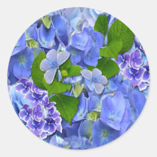 Blue Hydrangeas and Butterflies Classic Round Sticker