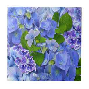 Blue Hydrangeas and Butterflies Tile