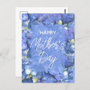 Blue Hydrangeas Blooms Mother's Day    Postcard