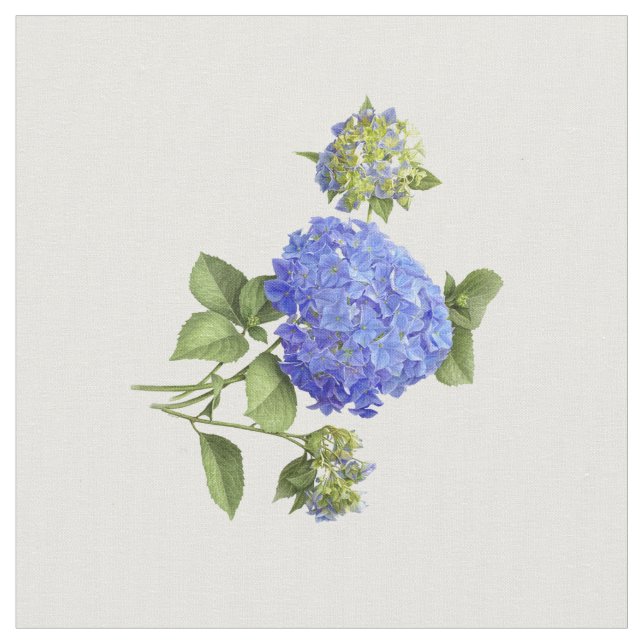 Blue Hydrangeas Fabric (Close Up)