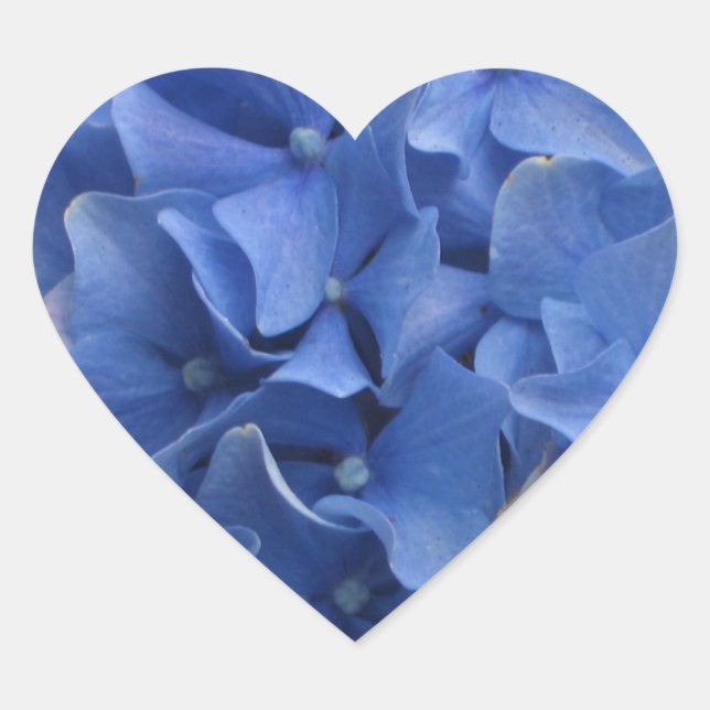 Blue Hydrangeas Heart Sticker (Front)