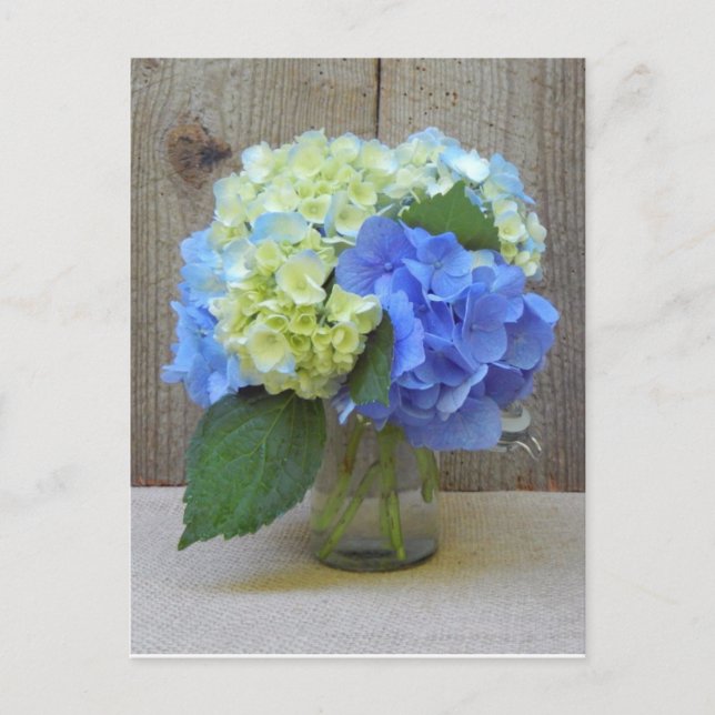 Blue Hydrangeas Mason Jar Mature Birthday Party Invitation Postcard (Front)