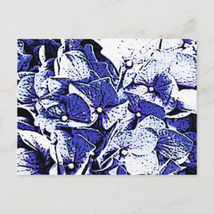 Blue Hydrangeas Postcard