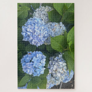 Blue Hydrangeas, San Lorenzo Jigsaw Puzzle
