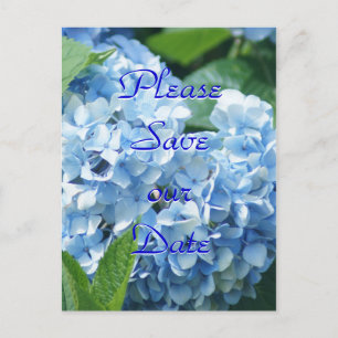 Blue Hydrangeas Save our date postcard- customise Invitation Postcard