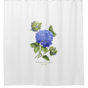 Blue Hydrangeas Shower Curtain