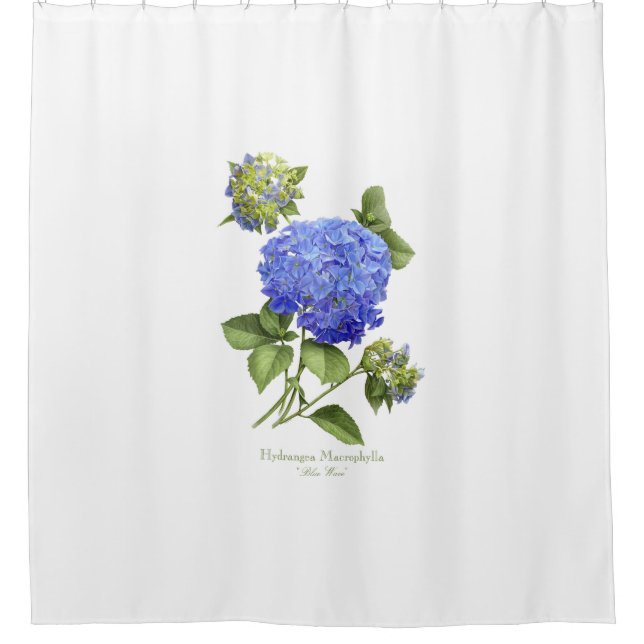 Blue Hydrangeas Shower Curtain (Front)