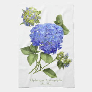 Blue Hydrangeas Tea Towel