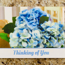 Blue Hydrangeas | Thinking of You Postcard
