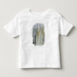 Blue Ice and Ground Water Run Off; Tahquamenon Toddler T-Shirt