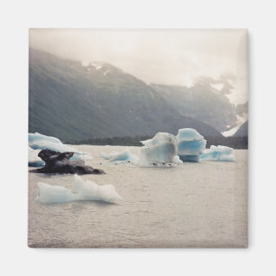 Blue Ice Magnet