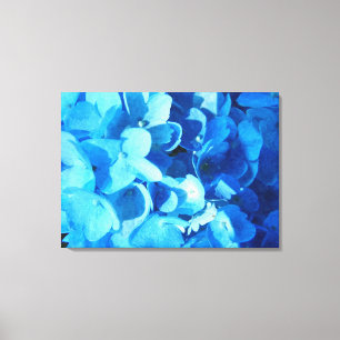 blue impression - summer hydrangea flowers canvas print