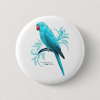 Blue Indian Ringneck Parrot