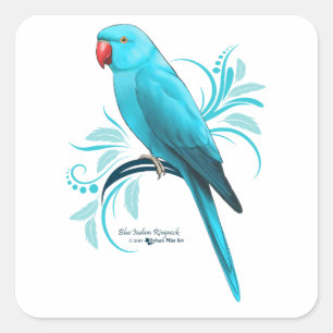 Blue Indian Ringneck Parrot Square Sticker