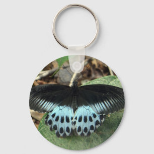 Blue Iridescent Mormon Butterfly Key Ring