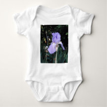 Blue Iris