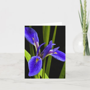 Blue Iris Blank Note Card