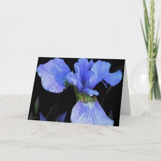Blue Iris Card
