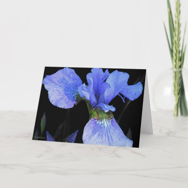 Blue Iris Card (Front)