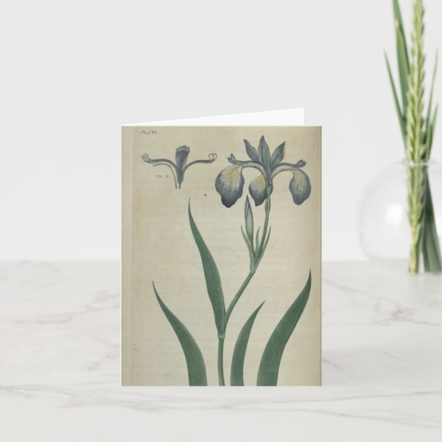 Blue Iris Card (Front)