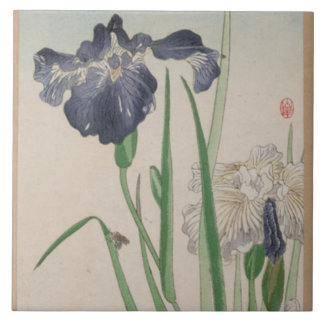 Blue Iris Ceramic Tiles