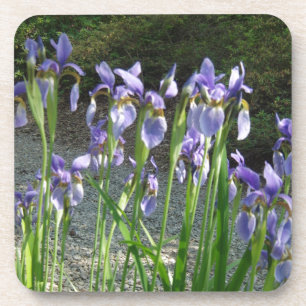Blue Iris Coaster
