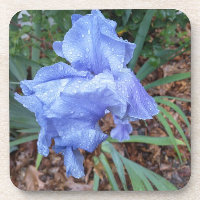 Blue Iris Coaster (Front)