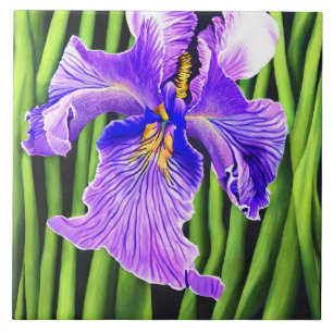 Blue Iris Decorative Ceramic Tiles