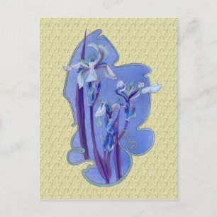 Blue Iris Floral Art Design Postcard