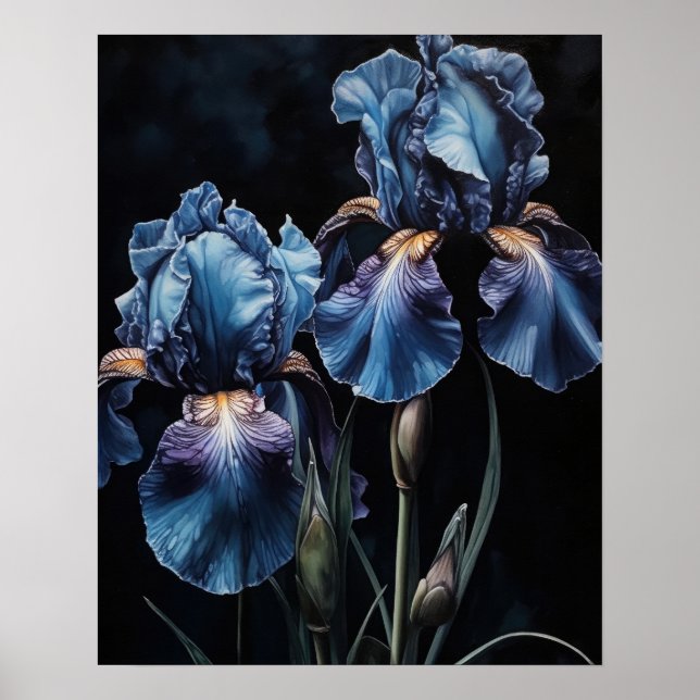 Blue Iris Flowers Art Print Poster (Front)