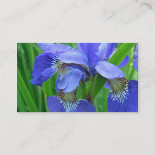 blue iris flowers business card