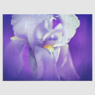 Blue Iris Gift Tissue Paper