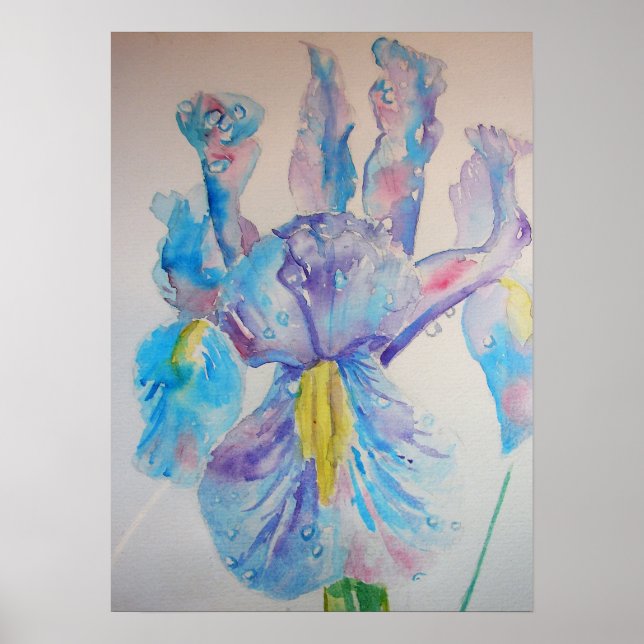 Blue Iris Irises Floral Flowers Watercolor Poster (Front)