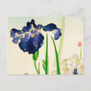 Blue Iris - Japanese watercolor print Postcard